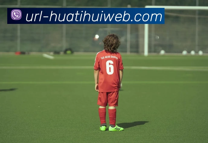 App Interface Preview